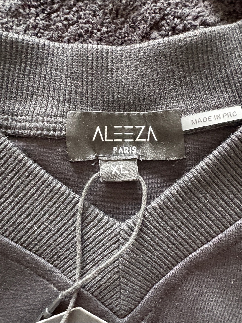 SOLD OUT !!! Aleeza Paris Crewneck Sweatshirt in Black - Picture 4 of 5